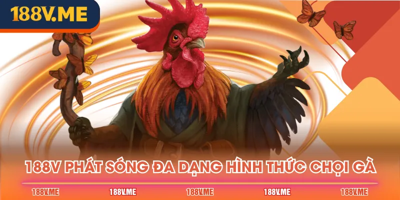 188V phát sóng đa dạng hình thức chọi gà