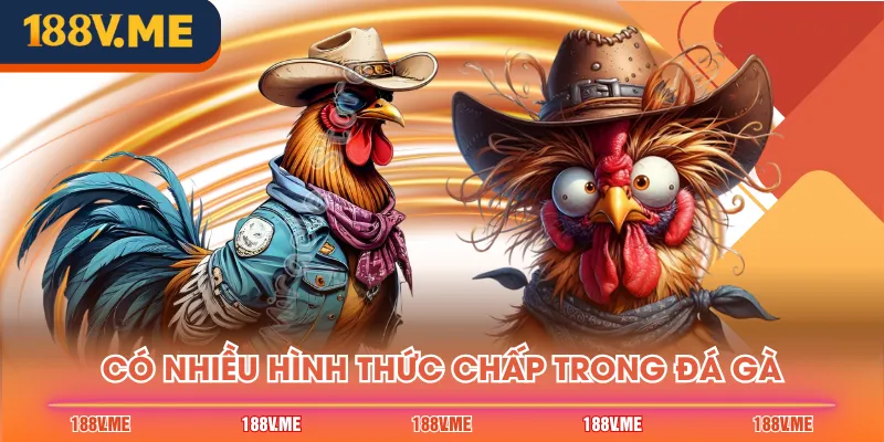 Có nhiều hình thức chấp trong đá gà