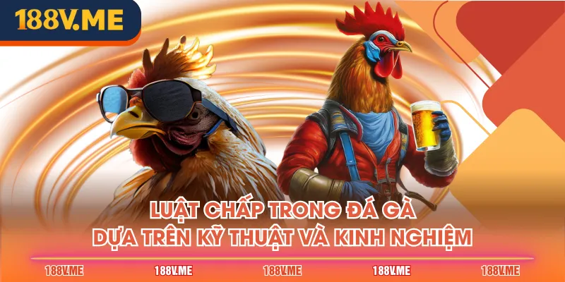 Luật chấp trong đá gà dựa trên kỹ thuật và kinh nghiệm